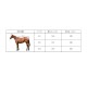 EQUILINE ǥ å饰
