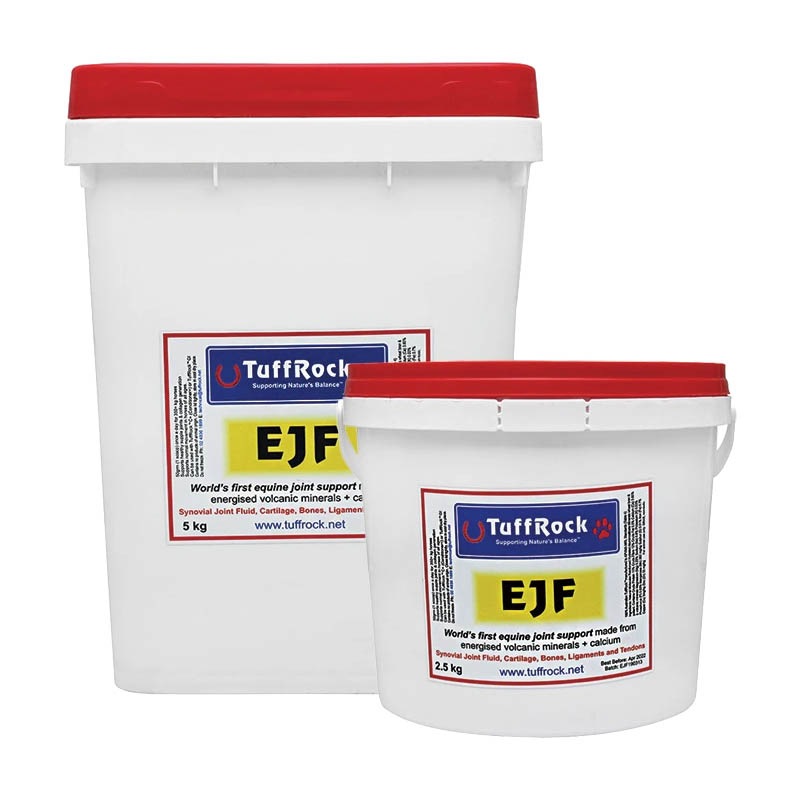 ���ե��å� EJF