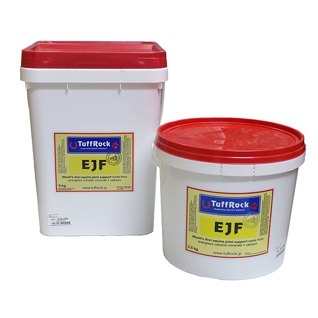 ���ե��å� EJF