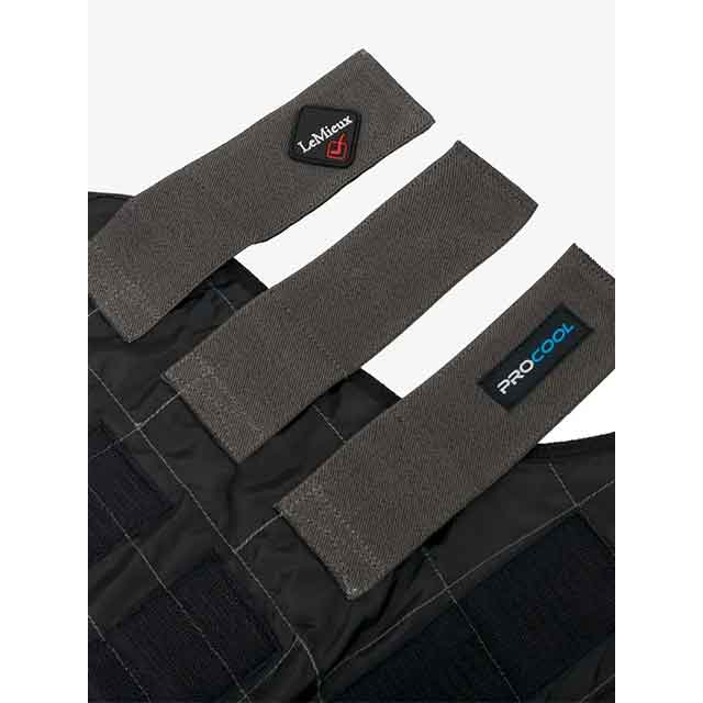 LeMieux ������� ���������� �֡���