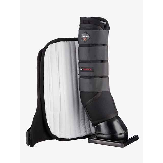 LeMieux ���ơ��֥�֡���