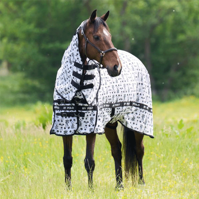 HV �ˡ��ʭ� AOP�ե饤�֥�󥱥å�