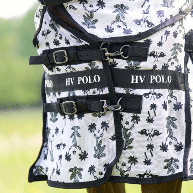 HV �ˡ��ʭ� AOP�ե饤�֥�󥱥å�