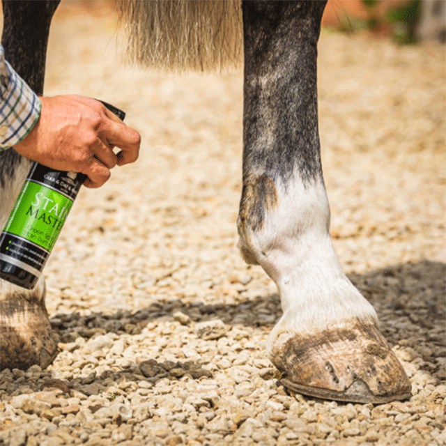CDM ���꡼�󥹥ݥåȡ����ƥ����ࡼ�С� 500ml