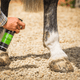 CDM ���꡼�󥹥ݥåȡ����ƥ����ࡼ�С� 500ml