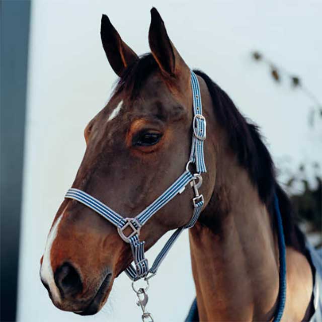 HORZE �ߥ��إ� �ۥ륿��&�꡼�ɥ��å�