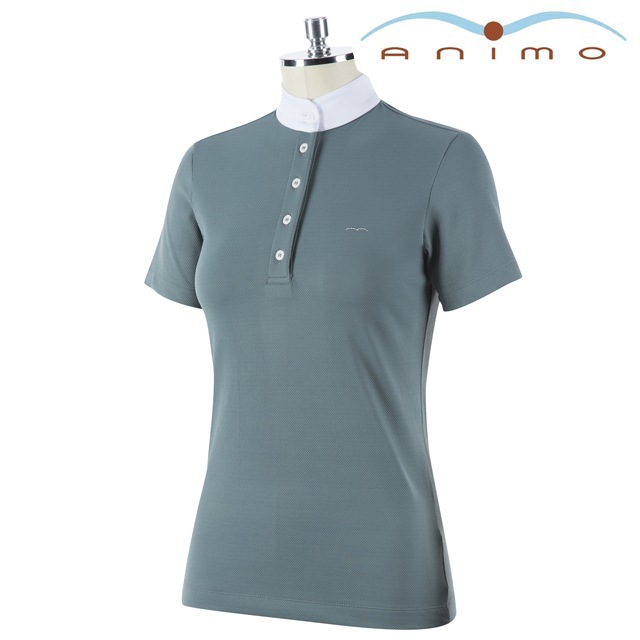 Basilea����ǥ����������ѥ���ġ�Ⱦµ