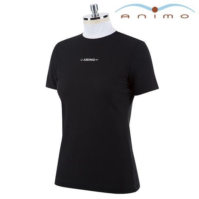 Dogma ��ǥ����������ѥ���ġ�Ⱦµ