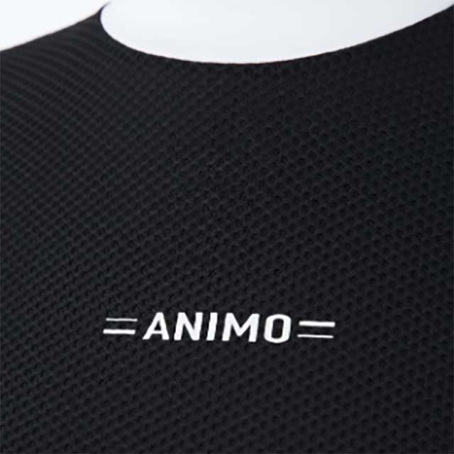 Dogma ��ǥ����������ѥ���ġ�Ⱦµ