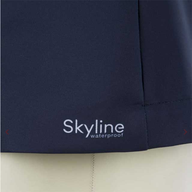 Lugo����ǥ����������ѥ��㥱�å�