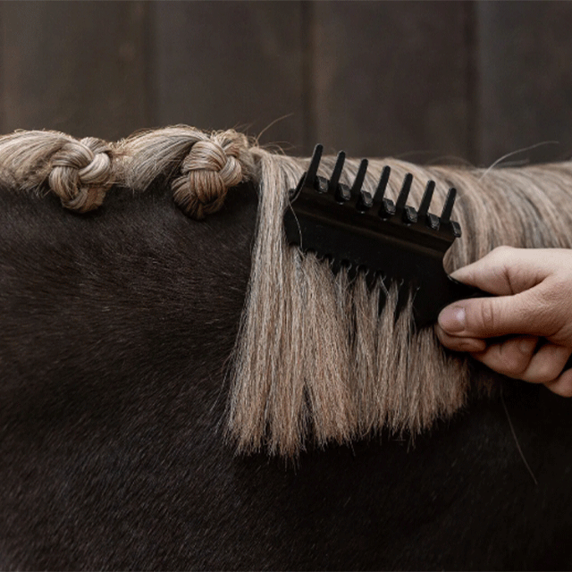 QHP ���Ƥ��ߥ���åץ�����