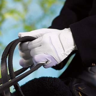 ���ץ�����ץ��硼��������