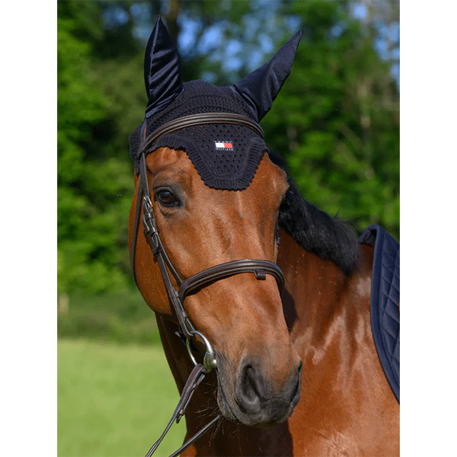 TH �쥭����ȥ� ������ɥ쥹 ���䡼�ͥå�