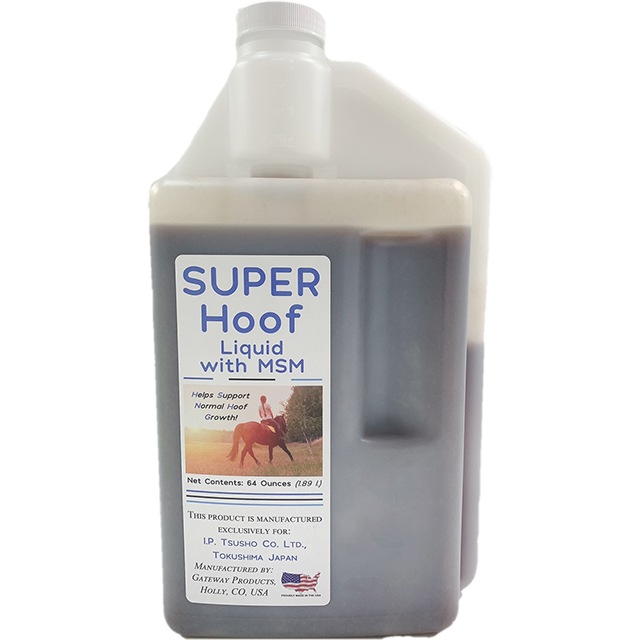 �����ѡ��ա��եꥭ�åɡ��ͣӣ�