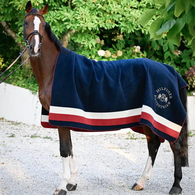 TH �ҥ륹�ǡ��� ���������饰