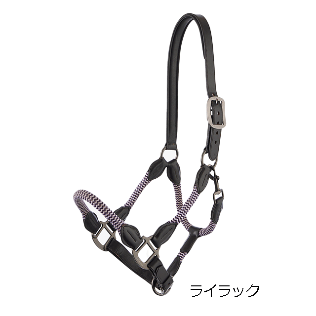 LeMieux ���ڥ� ̵��