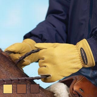 �ǥ���������ȥ쥤���