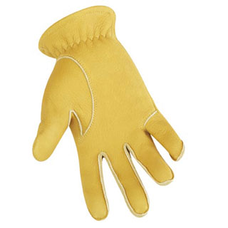 �ǥ���������ȥ쥤���