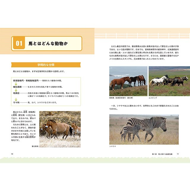 �ڽ��ҡ����ܤ��ϤλŻ��޴�