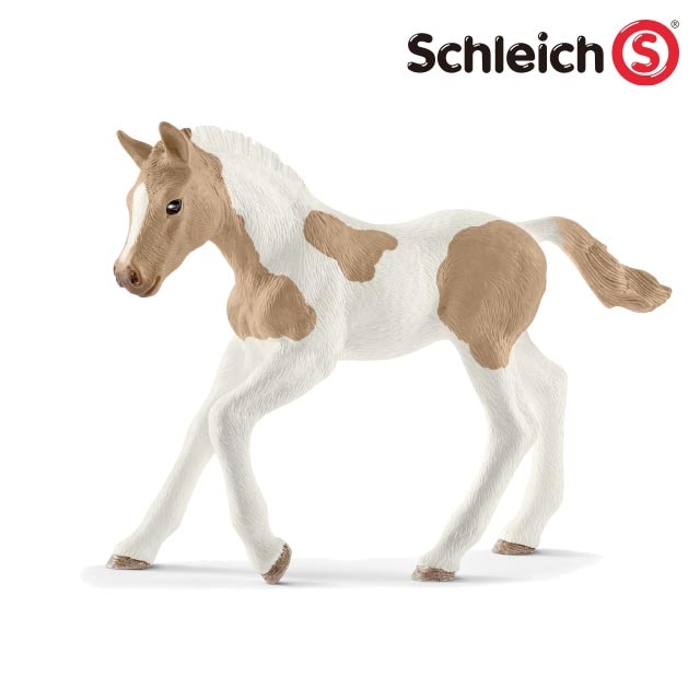 �����׎��� �ڥ���ȥۡ���(��)