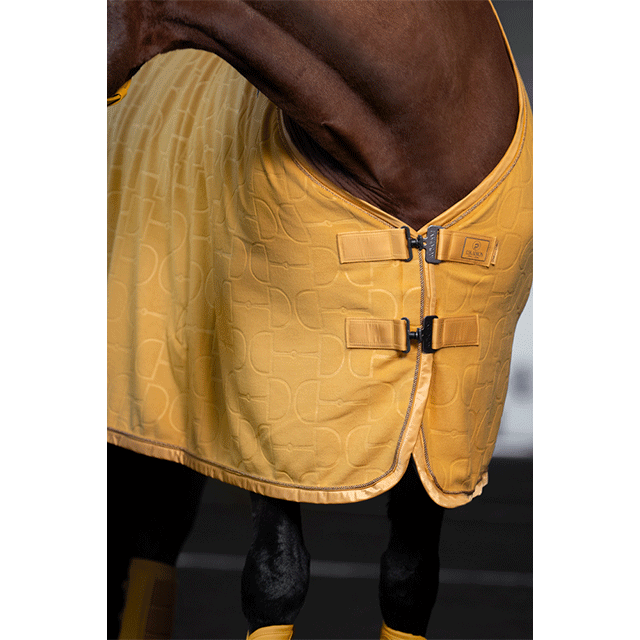 ESK �ϥ��� �ե꡼���饰