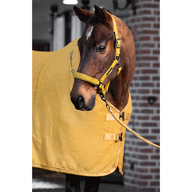 ESK �ϥ��� �ե꡼���饰