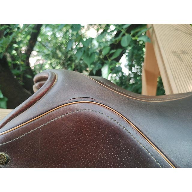 ����š�N. Pessoa Paris �㳲��