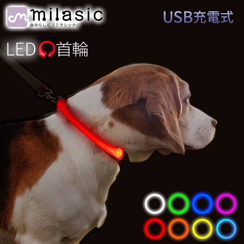 お散歩ライト LED 充電式 充電 光る首輪 光る ペット ペット首輪 犬 セーフティーライト サイズ調整可能 安全対策 小型犬 中型犬 大型犬 夜間 散歩 首輪 ハーネス リード バッグ 事故防止 事故 自転車 ペットグッズ TN-CLUSB