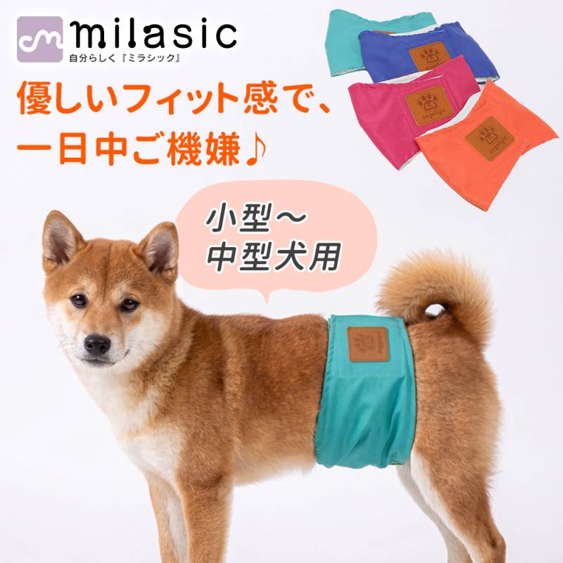 マナーベルト 4サイズ 犬 オス おむつ 洗える かわいい 洗濯 ペット 男の子 小型犬 中型犬 小型 中型 しつけ おしっこ マナーウェア マナー ズレ防止 散歩 高齢犬 介護用 シニア犬 蒸れない マナーバンド マナーパンツ ドッグウェア 犬の服 TN-MBDG