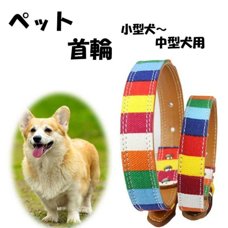 犬 首輪 Sサイズ Mサイズ かわいい 中型犬 小型犬 PUレザー 犬の首輪 犬首輪 可愛い ワンちゃん首輪 犬おしゃれ首輪  小型犬 中型犬 カラフル 可愛いデザイン オシャレわんこ わんこ レインボー ER-CLAR