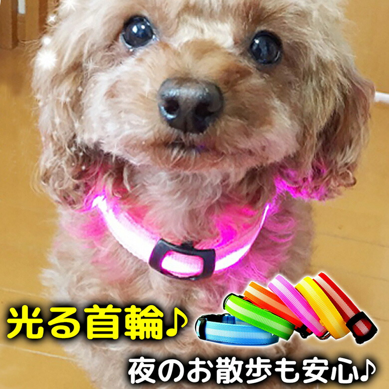 犬 首輪 光る 光る首輪 LED キラキラ光るバンド S/M/Lサイズ アームバンド 夜間 散歩 ジョギング ウォーキング きらきらバンド 事故防止 交通安全 ER-DGLED 