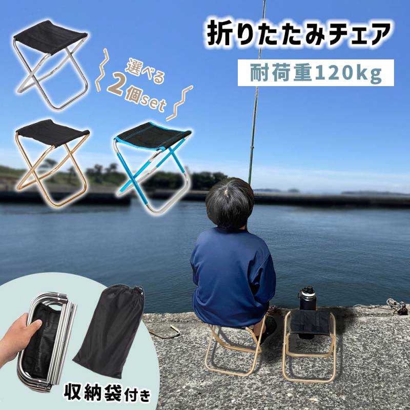 折り畳み椅子 収納ケース付き 選べる2個セット 2脚 アウトドア チェア