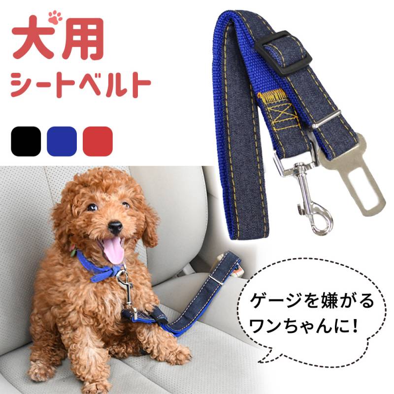 犬 シートベルト 汎用タイプ 犬用シートベルト リード ペット用シートベルト 車専用リード カーアクセサリー ペット用品 犬用 ペット ドライブ ER-DGSB