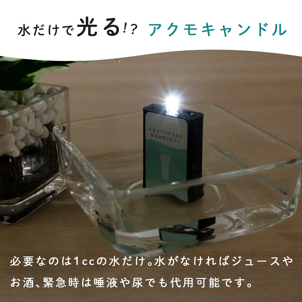 二回使用　リフレッシュキャンドル リフレッシュキャンドル バジル 190g | Diptyque Paris