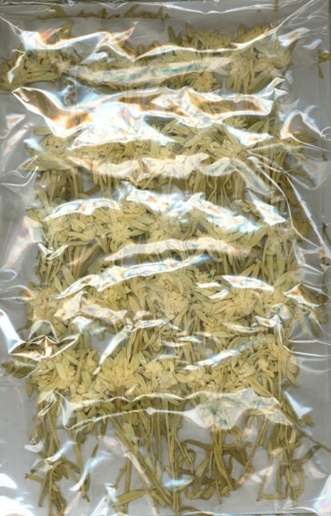 2-2197　押し花　ウスユキソウ　200本