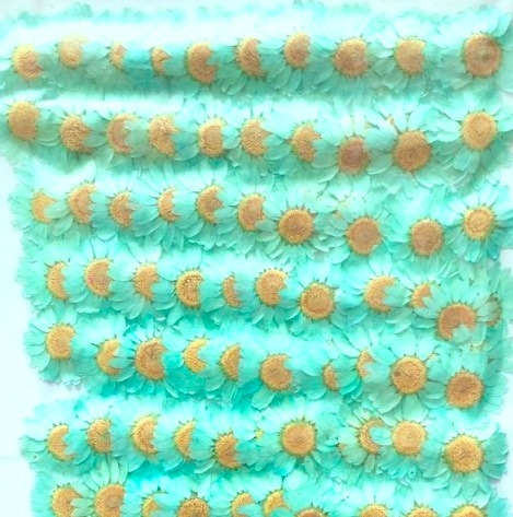 2-111-GB ノースポール　薄水色　染め　500輪