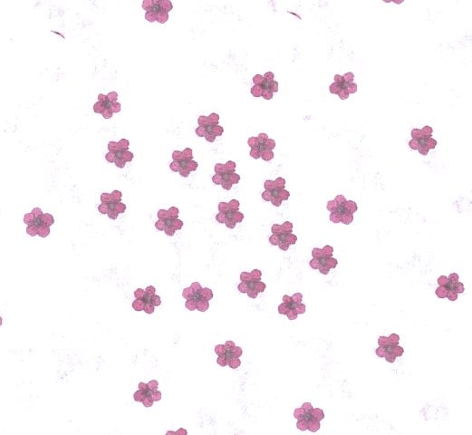 2-2240B ネイル用小花 パープル