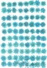2-202LB　押し花レースフラワー　水色|業務用押し花　ブルー＆紫系|押花素材　業務用パック