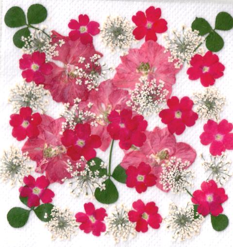 1-K千鳥草などのミックスデザインパック　40輪入り