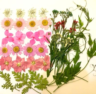 1-03K　押し花素材　ピンクデザインパック