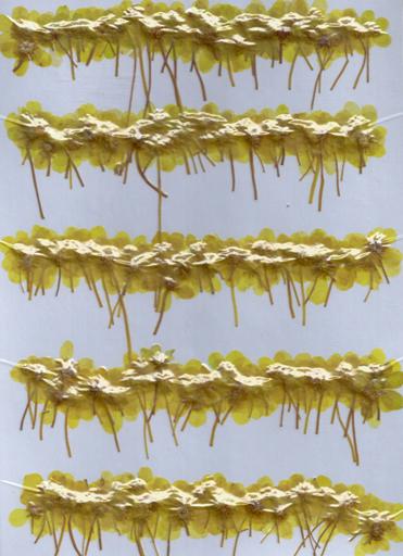 2-109Y　野生小花　黄色染　15-20mm