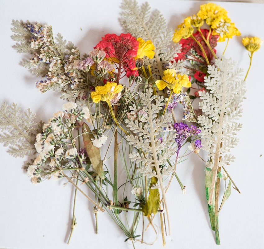 1-103　押し花材料　押し花デザインパック