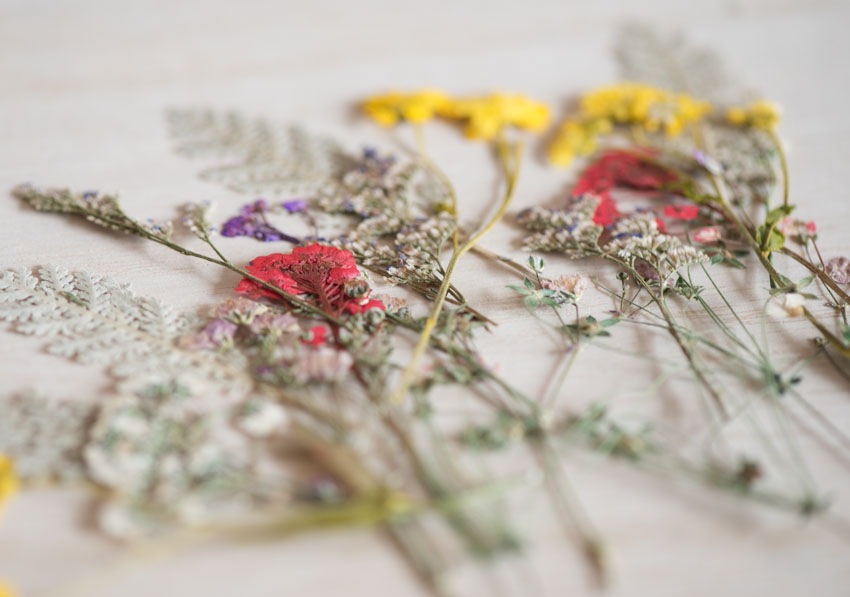 1-103　押し花材料　押し花デザインパック