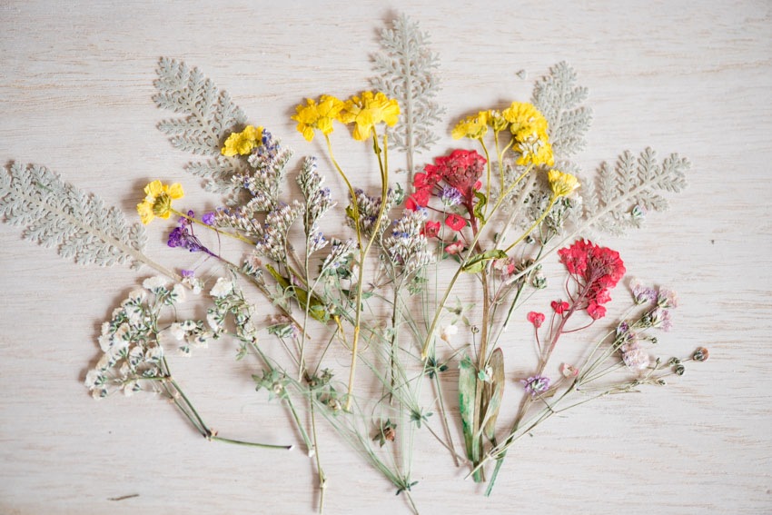 1-103　押し花材料　押し花デザインパック