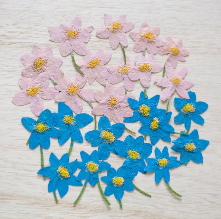 2-900B  アネモネ　ブルー染　300輪入