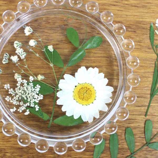 1-08C　押し花素材　押し花セット（C）