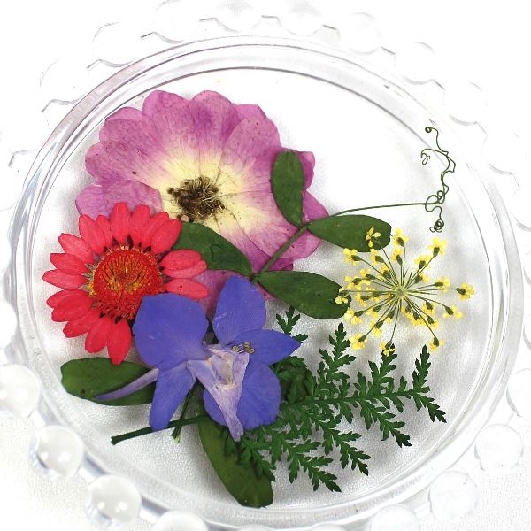 1-08F　押し花素材　押し花セット（F）