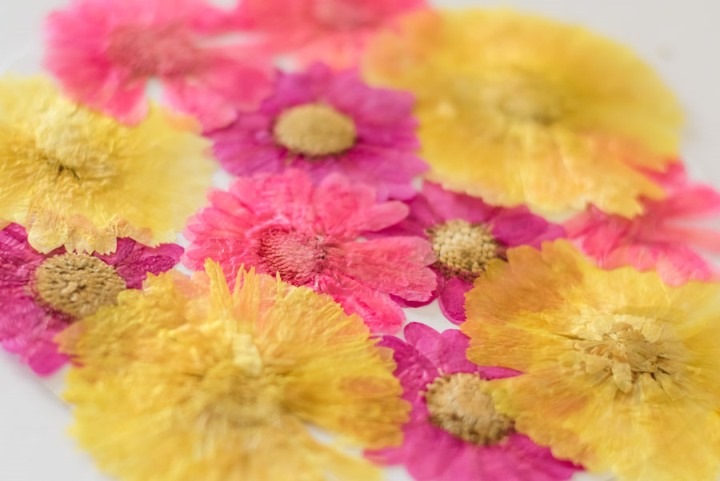 1-301　金菊ミックス　12輪