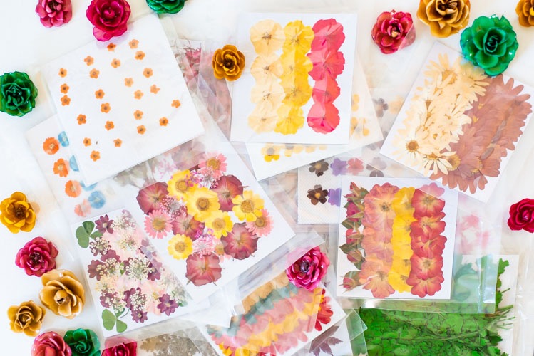 1-300 　押し花福袋　押花小パック10パックと立体の薔薇パーツ２輪