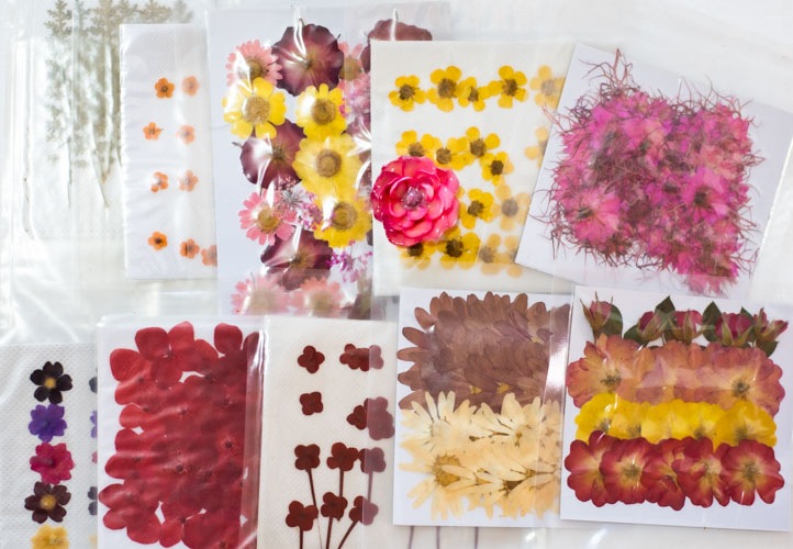 1-300 　押し花福袋　押花小パック10パックと立体の薔薇パーツ２輪